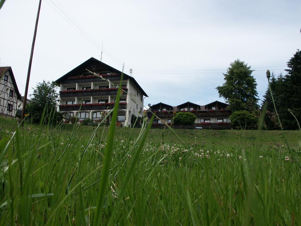 Landgasthof Waldfrieden Hotel Wildensee Buitenkant foto